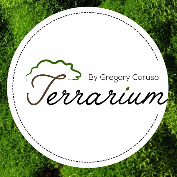 Terrarium by Gregory Caruso Canberra at