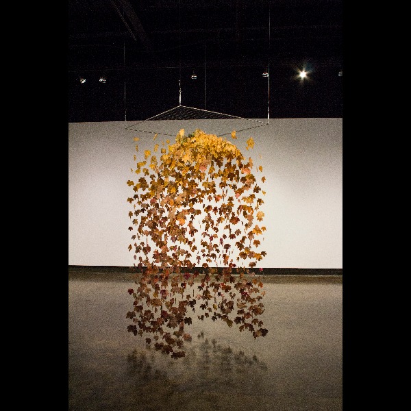 Kaylee LockO'Connor KitchenerWaterloo at